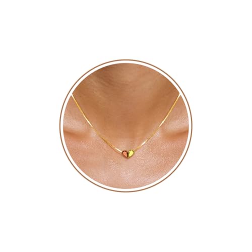 2026 Graduation Gifts Birthstone Necklace for Women Dainty Gold Necklace with 2 Birthstone Birthday Gift for Her Teen Girl Gift Trendy Stuff for Her Mom Daughter Girlfriend Friend Christmas Stocking Stuffers - color: 01-11 Jan & Nov, style: Heart