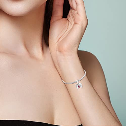 MULA 925 Sterling Silver Charms for Bracelets and Necklace Family Pendants | Airplane Travel Dangle Beads Family Tree Jewelry Charms for Women - color: Paw Prints on My Heart
