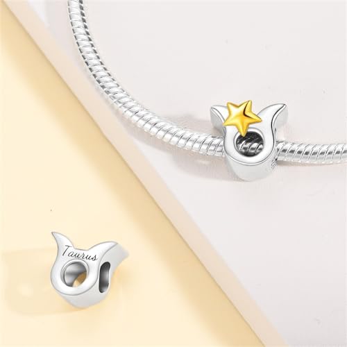 925 Sterling Silver 12 Astrological Signs Charm for Bracelets and Necklace Happy Birthday Charms for Bracelet and Necklace Valentine's Day Mother's Day Gift - style: Taurus Charm