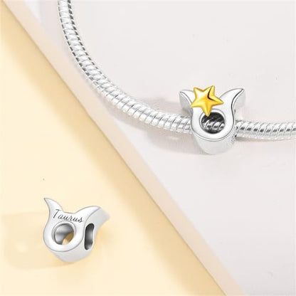 925 Sterling Silver 12 Astrological Signs Charm for Bracelets and Necklace Happy Birthday Charms for Bracelet and Necklace Valentine's Day Mother's Day Gift - style: Taurus Charm