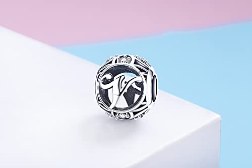 Letter Charms 925 Sterling Silver Initial A-Z Bead Charms | For Bracelets Necklaces, Hypoallergenic,Cubic Zirconia Alphabet Beads, Personalized Gifts for Women - color: V