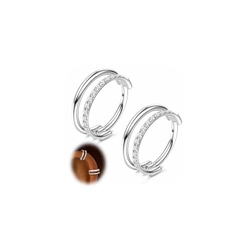 FASACCO 20G 18G 16G Cartilage Hoop Earring 316L Surgical Steel Silver Huggie Hoop Earrings Hypoallergenic Hinged Segment Rings Septum Nose Hoops Daith Conch Helix Tragus Piercing Jewelry 6mm/8mm/10mm - style: Silver2-18G-8MM