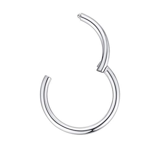 ORANGELOVE Hypoallergenic Nose Rings 20G 18G 16G 14G 12G 10G 8G 316l Surgical Steel Septum Jewelry Hinged Segment Ring Body Piercing Nose Hoop Lip Rings Nose Helix Cartilage Rook Earrings - color: Silver, size: 1pc 14 Gauge 12mm