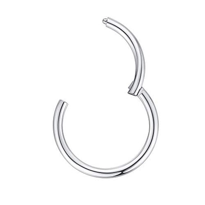 ORANGELOVE Hypoallergenic Nose Rings 20G 18G 16G 14G 12G 10G 8G 316l Surgical Steel Septum Jewelry Hinged Segment Ring Body Piercing Nose Hoop Lip Rings Nose Helix Cartilage Rook Earrings - color: Silver, size: 1pc 14 Gauge 12mm