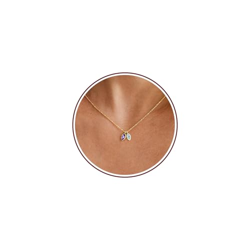 2026 Graduation Gifts Birthstone Necklace for Women Dainty Gold Necklace with 2 Birthstone Birthday Gift for Her Teen Girl Gift Trendy Stuff for Her Mom Daughter Girlfriend Friend Christmas Stocking Stuffers - color: 02-03 Feb & Mar, style: Leaf