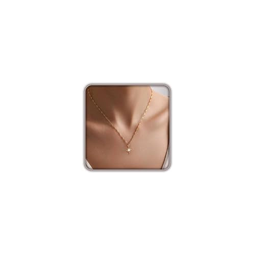 Gold Necklace for Women, Dainty 14K Gold Plated Pendant Necklaces for Women Trendy Simple Choker Chain Cubic Zirconia Circle/Interlocking/Sun/Pearl Necklace Fashion Jewelry Charm Gifts - color: Eight-pointed Star Pendant