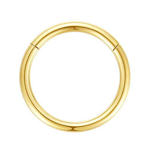ORANGELOVE Hypoallergenic Nose Rings 20G 18G 16G 14G 12G 10G 8G 316l Surgical Steel Septum Jewelry Hinged Segment Ring Body Piercing Nose Hoop Lip Rings Nose Helix Cartilage Rook Earrings - color: Gold, size: 1pc 10 Gauge 10mm