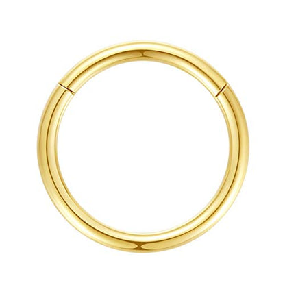 ORANGELOVE Hypoallergenic Nose Rings 20G 18G 16G 14G 12G 10G 8G 316l Surgical Steel Septum Jewelry Hinged Segment Ring Body Piercing Nose Hoop Lip Rings Nose Helix Cartilage Rook Earrings - color: Gold, size: 1pc 10 Gauge 16mm