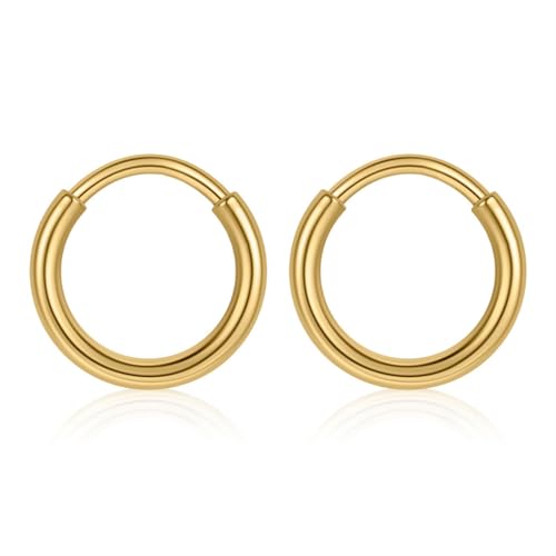 20G 316L Surgical Steel Hoop Nose Rings Septum Jewelry Nose Clicker Ring Cartilage Conch Helix Tragus Small Huggie Hoops Earrings Lip Rings Body Piercing Jewelry for Women Men 6 8 10mm