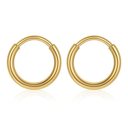 20G 316L Surgical Steel Hoop Nose Rings Septum Jewelry Nose Clicker Ring Cartilage Conch Helix Tragus Small Huggie Hoops Earrings Lip Rings Body Piercing Jewelry for Women Men 6 8 10mm