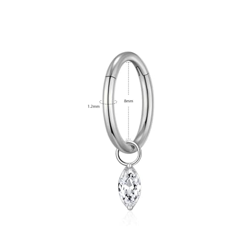 Ourania 16G Gold Stainless Steel Zircon Dangle Huggie Hoop Rook Piercing Helix Hoop Earring Tragus Hoop Cartilage Piercing for Women - color: Eyes Silver 2PCS, size: 1.2*8mm 2pcs