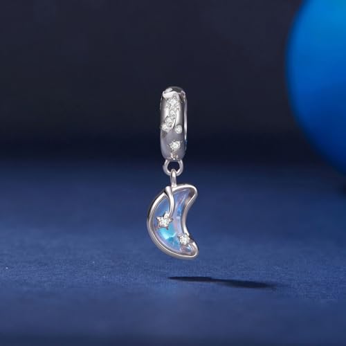 Animal Charms for Bracelets 925 Sterling Silver Bead Charms Bee Butterfly Fox Charm Fits Bracelets and Necklaces Cute Charms for Women - color: Moonlight Shooting Star