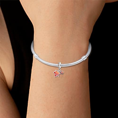 Pandach 925 Sterling Silver Charms for Bracelet&Necklace Dangle Pendant Bead with 5A Cubic Zirconia Stones,Jewelry Beads Gifts for Women - style: Maple Leaf Two Piece Charms
