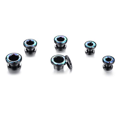 WBRWP 2pcs Hollow Gold Stainless Steel with Zircon Ear Plugs Tunnels - Ear Expander - Ear Gauges Stretcher Body Piercing Jewelry 8g-5/8 - color: Black Steel with Seashell
