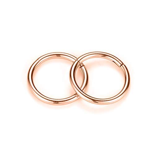 GAGABODY 2 Pcs Nose Rings 22G 20G 18G 16G 14G 12G 10G 8G Surgical Steel Piercing Rings for Nose Septum Cartilage Helix Tragus Conch Rook Daith Lobe from 5mm to 16mm Seamless Hoop Unisex Hinged Earrings - color: Rose Gold