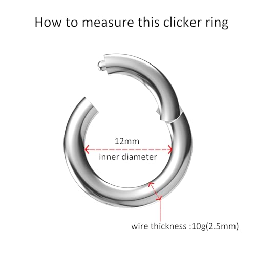 4G/6G/8G/10G/12G/14G/16G/18G/20G Hypoallergenic Nose Hoop Rings Steel Hinged Clicker Segment Gold/Rose Gold/Black/Pink Color - style: 1pc: 10g×12mm Silver-tone