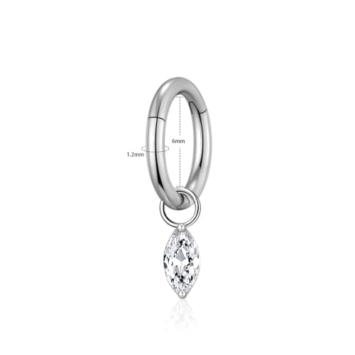 Ourania 16G Gold Stainless Steel Zircon Dangle Huggie Hoop Rook Piercing Helix Hoop Earring Tragus Hoop Cartilage Piercing for Women - color: Eyes Silver 2PCS, size: 1.2*6mm 2pcs