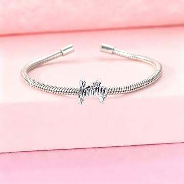 925 Sterling Silver Charms Pendants Mom Heart Dog koi fish Sea Turtle Football Charms for bracelet Pendants Beads Mom Sister Wife Family, Friends, Birthday gifts - style: Family Bead