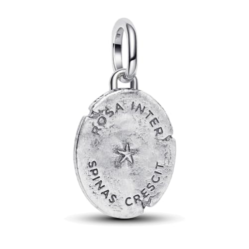 925 Sterling Silver Dangle Charm Fit Women Bracelet And Necklaces Jewelry | Medallion Pendants Beads Jewelry Charms for Women Fashion Gift Family Friends Mother's Day - color: Rose Medallion Charm M1787