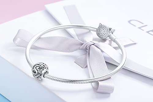 Letter Charms 925 Sterling Silver Initial A-Z Bead Charms | For Bracelets Necklaces, Hypoallergenic,Cubic Zirconia Alphabet Beads, Personalized Gifts for Women - color: S