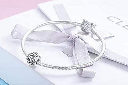 Letter Charms 925 Sterling Silver Initial A-Z Bead Charms | For Bracelets Necklaces, Hypoallergenic,Cubic Zirconia Alphabet Beads, Personalized Gifts for Women - color: S