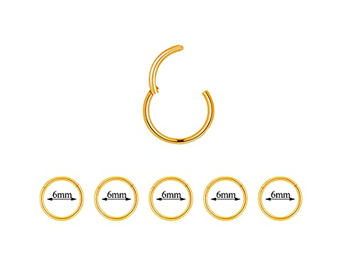 5Pcs 16G 18G Surgical Steel Nose Rings Hoop Tragus Septum Cartilage Hoop Earrings For Women Men Body Piercing Jewelry Kit Bar Length 6mm/8mm/10mm/12mm/14mm - style: 5Pcs -18G - Gold - 6mm
