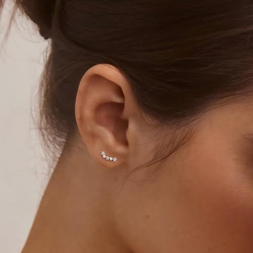 Star 14K Gold Plated Ear Cuff Earrings for Women Non Piercing, Dainty Silver Plated Clip on Cartilage Ear Cuff Non Pierced Trendy CZ Northstar Starburst Sparkling Climber Clawer Earring Jewelry - style: Northstar Stud 2-Silver