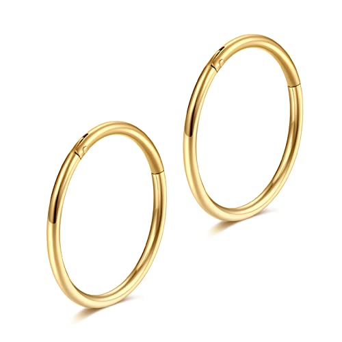 Lantine 16g 18g 20g Nose Rings Hoops Grade 23 Titanium Black Hinged Septum Rings Seamless Clicker Sleeper Cartilage Daith Tragus Helix Piercing Hoop Earrings - color: Gold