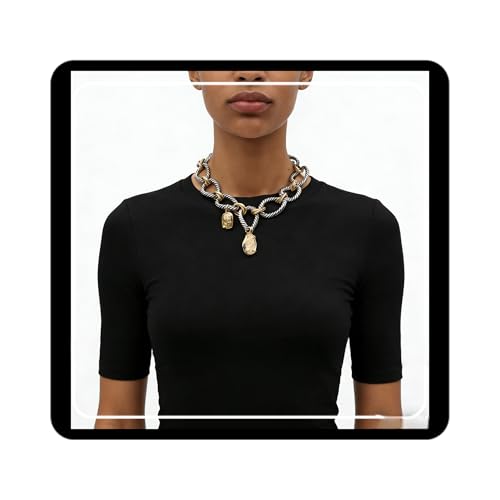 Doubnine Two-Tone Chain Link Necklace, Silver Rope and Gold Accents, Pendant Charm Choker
