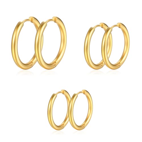 Silver Gold Hoop Earrings for Women Men, 316L Surgical Stainless Steel Huggie Hoop Earrings Set Hypoallergenic Small Cartilage Earrings Lightweight Hoop Earrings Huggie Set - color: gold-14/16/18mm