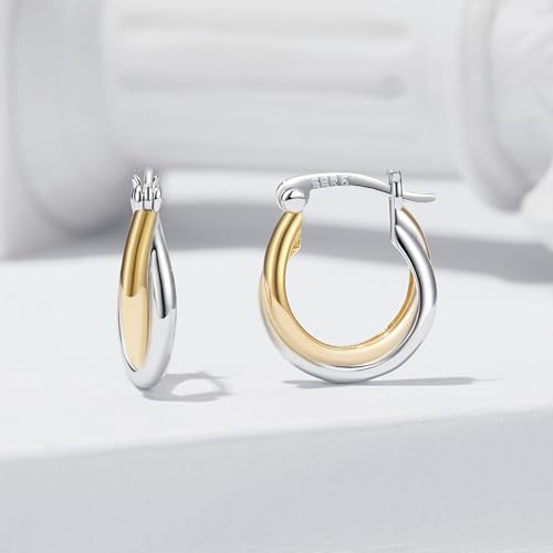 14K Gold Plated Two-Tone Oval Hoop Earrings for Women, Water Drop Design Lightweight Huggie Earrings,925 Sterling Silver Posts Double Drop Chunky Hoops Hypoallergenic Ear Buckles - color: Rose Gold
