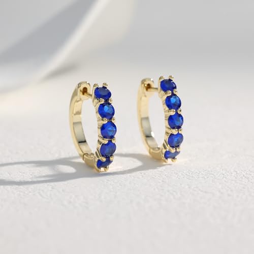 Evabelle Gold Hoop Earrings for Women 14K Real Gold Plated Cubic Zirconia Diamond Hoop Earrings Huggie Hoop Earring Women Earrings Earring for Men 925 Sterling Silver Post Hypoallergenic - color: Hoops 11-Gold and Blue