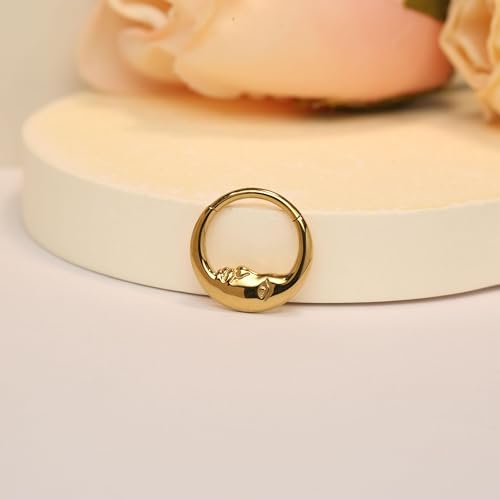 Cartilage Daith Earrings For Women Small 14K Gold Plated Hoop Hypoallergenic Helix Piercing Huggie Surgical Steel Diamond Implant Cubic Zirconia Prom Gift Jewelry - color: Style11-Gold, size: 16g-8mm