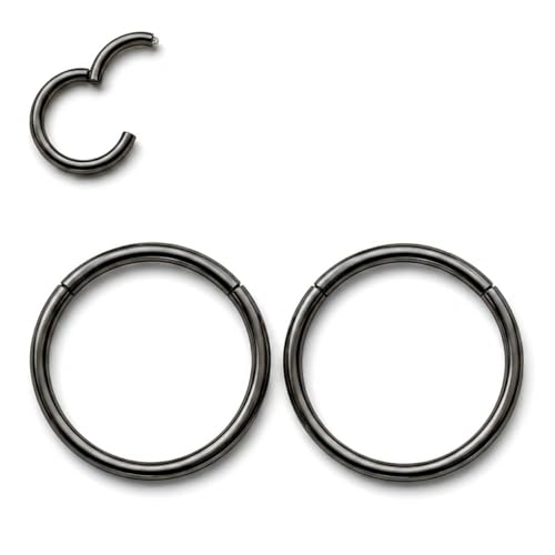 AMASIS Nose Rings and Nose Studs Set, Stainless Steel Hinged Nose Hoops and CZ Studs, Select Sizes and Styles for Nostril Septum Cartilage Piercing Jewelry - color: Black, size: 2-Piece Hoops,20Gauge,10mm