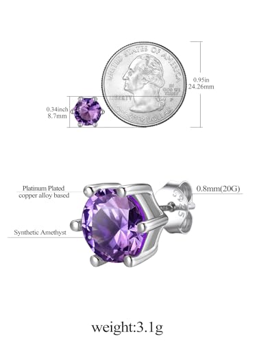 FindChic 2 Carat Birthstone Stud Earrings for Women, Round/Heart/Princess Cut Stud Earrings, Hypoallergenic Studs with 925 Sterling Silver Posts, 12 Months Birthday Jewelry Gift - color: 02. February-Amethyst(Round Cut )