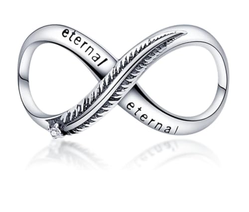 Flower Crab Orca Birthday Athlete Family Tree Safety Chain Cat Dog Bead Pendant 925 Sterling Silver Dangle Compatible With Pandora Moments Charm Bracelet - style: Eternal Feather Love Infinity Family 8 Bead Pendant