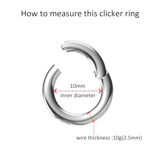 4G/6G/8G/10G/12G/14G/16G/18G/20G Hypoallergenic Nose Hoop Rings Steel Hinged Clicker Segment Gold/Rose Gold/Black/Pink Color - style: 1pc: 10g×10mm Silver-tone