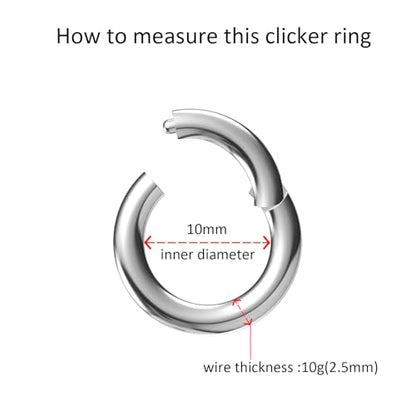 4G/6G/8G/10G/12G/14G/16G/18G/20G Hypoallergenic Nose Hoop Rings Steel Hinged Clicker Segment Gold/Rose Gold/Black/Pink Color - style: 1pc: 10g×10mm Silver-tone