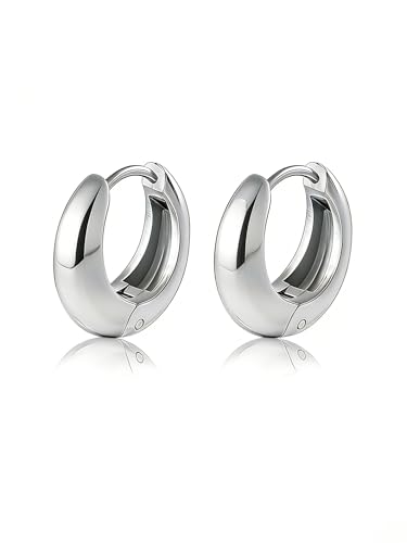 Chunky Small Hoop Earrings for Women 14mm/16mm/19mm Stainless Steel Huggie Earrings Everyday Jewelry Gift for Wife Mom, with Gift Box - color: Silver 14mm