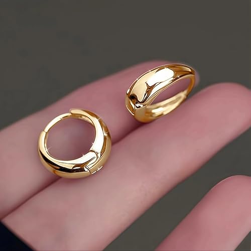 2Pcs/Pair Elegant Stainless Steel Hypoallergenic French Hoop Earrings,Comfort Retro Sexy Design,Christmas Gifts for Fashionable Women - color: Golden