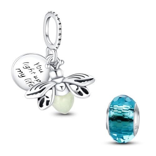 HappyStar 925 Sterling Silver Animal Dogs Charms Pendants fit Pandora Bracelets Necklaces Flowers Sports Travel Charms for Bracelets Women Jrwelry Gifts(with one Spacer Bead Charms) - style: Firefly charm