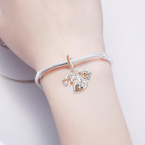 3PCS Birthstone Stone Charms for Charms Bracelet 925 Sterling Silver Infinity Love Heart Crown Dangle Charms Spacer Stopper Beads for Bracelets and Necklaces, Birthday Mother's Day Christmas Gifts For Women. - color: 01 Jan. 3PCS