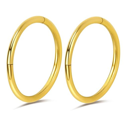 2Pcs Titanium Nose Rings 20G 18G 16G 14G Nose Rings Hoops Diameter 5mm to 12mm Silver-Gold-Rose Gold-Black Cartilage Helix Tragus Daith Rook Hoop Earrings Hinged Segment Septum Clicker Body Piercing Jewelry - color: Gold