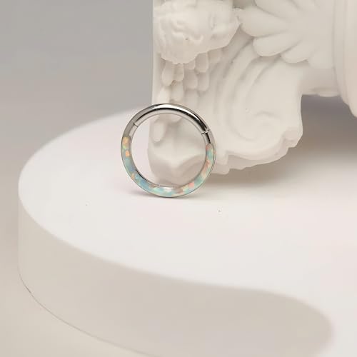 Opal Septum Jewelry Surgical Steel Septum Ring Daith Rook Tragus Earring | Hinged Segment Nose Hoop Ring,Hypoallergenic Septum Piercings for Women,Conch Cartilage Helix Jewelry,Diameter 6mm to 10mm - color: Silver,White Opal, size: 14G 10mm