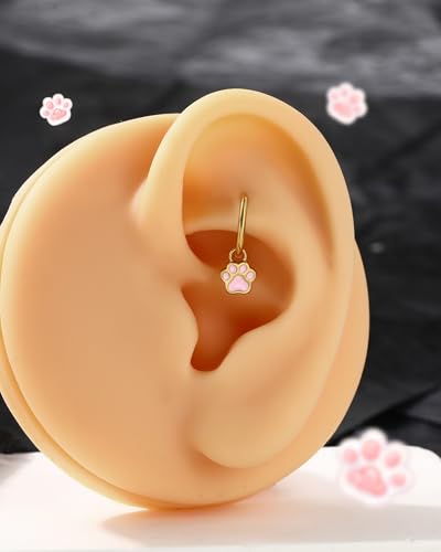 18K Gold Plated Rook Piercing Jewelry, 16G Clicker Rook Helix Earrings, Cute Cat Paw Upper Helix Lobe Piercing Stainless Steel 6/8MM - color: Style-1-8mm