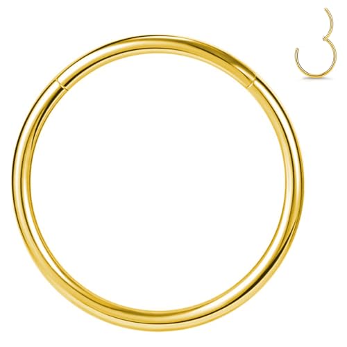 1pcs Women Men Titanium Hinged Nose Rings Hoop 20G 18G 16G 14G 12G Clicker Hoop for Nostril Septum Cartilage Helix Daith Tragus Rook Conch Lip Ear Lobe Piercings 6mm/7mm/8mm/9mm/10mm/11mm/12mm/14mm/16mm Silver-Gold-Rose Gold-Black - color: Gold, size: 18G