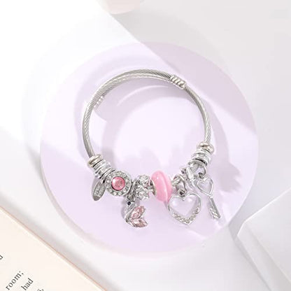 DS Charm Bracelets for girls,exquisite cute cartoon friendship bracelets Silver Stainless Steel Bangle with birthday Gift box, Adjustable girls jewelry Suitable for holiday gifts - style: Silver-Pink Swan
