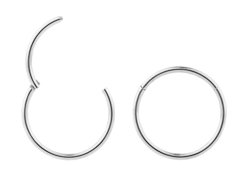 365 Sleepers 2Pcs G23 Titanium 18G (Standard Fit) Hinged Segment Ring Hoop – Implant Grade Nickel Free Septum Nose Lip Helix Tragus Earring Body Piercing Jewelry, 6mm- 13mm - style: 6mm Titanium
