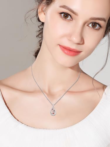 12 Month Birth Flower Necklace for Women 925 Sterling Silver Floral Teardrop Pendant Birthday Jewelry Gifts - color: 12. December Holly