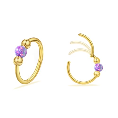 2 Pcs Small Cartilage Hoop Earrings for Women Men, 18G Opal Silver Earrings Hypoallergenic 316L Surgical Steel Hinge Huggie Hoop Earrings for Helix,Tragus,Conch,Rook,Earlobe Piercing Jewelry Nose Ring - style: 1Pc8mm+1Pc10mm Purple Opal/Gold
